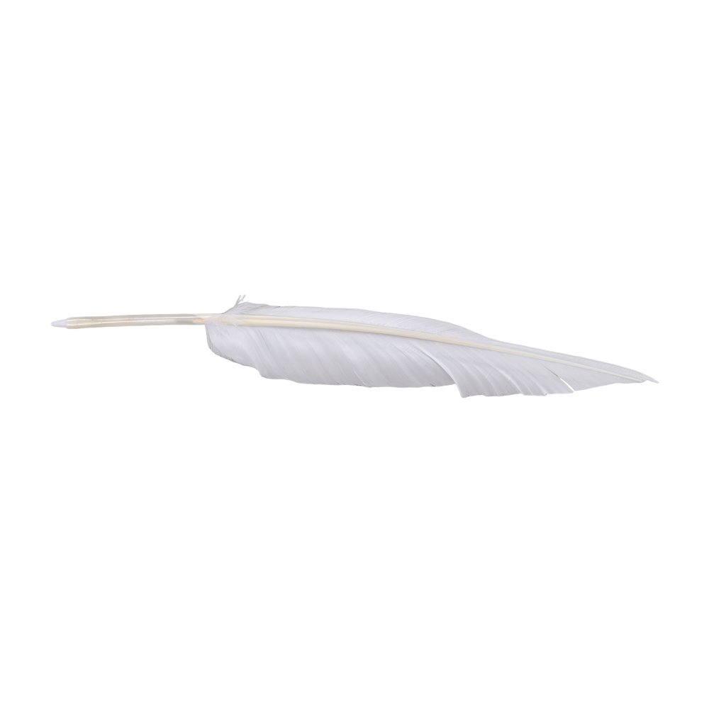 Anime Sousou of Frieren Cospla - Frieren Cosplay Prop ulasan dan harga