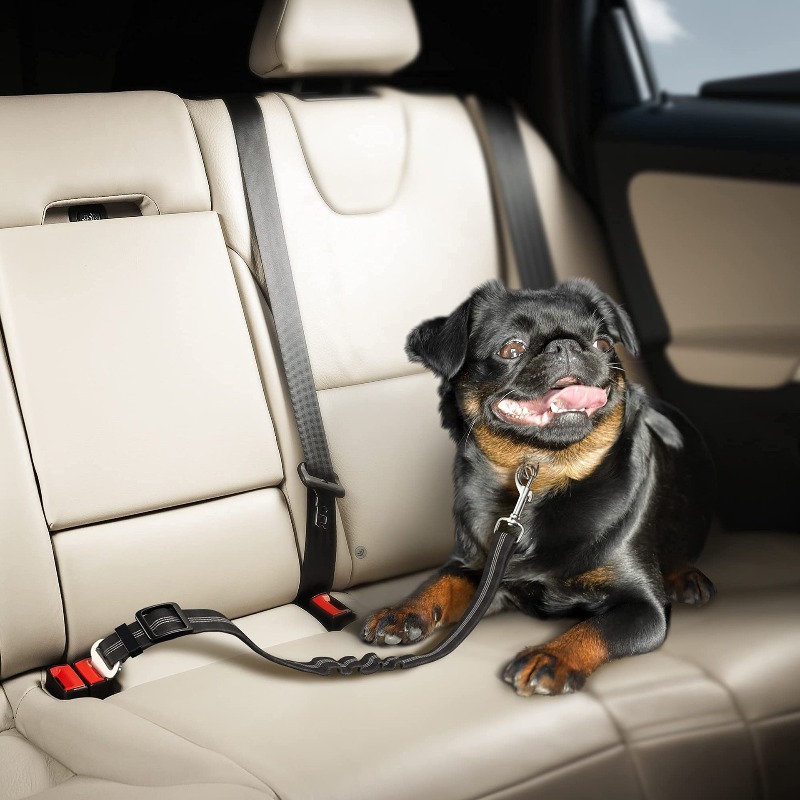 Retractable Dog Car Harness Se - Snap Fastener Set ulasan dan harga
